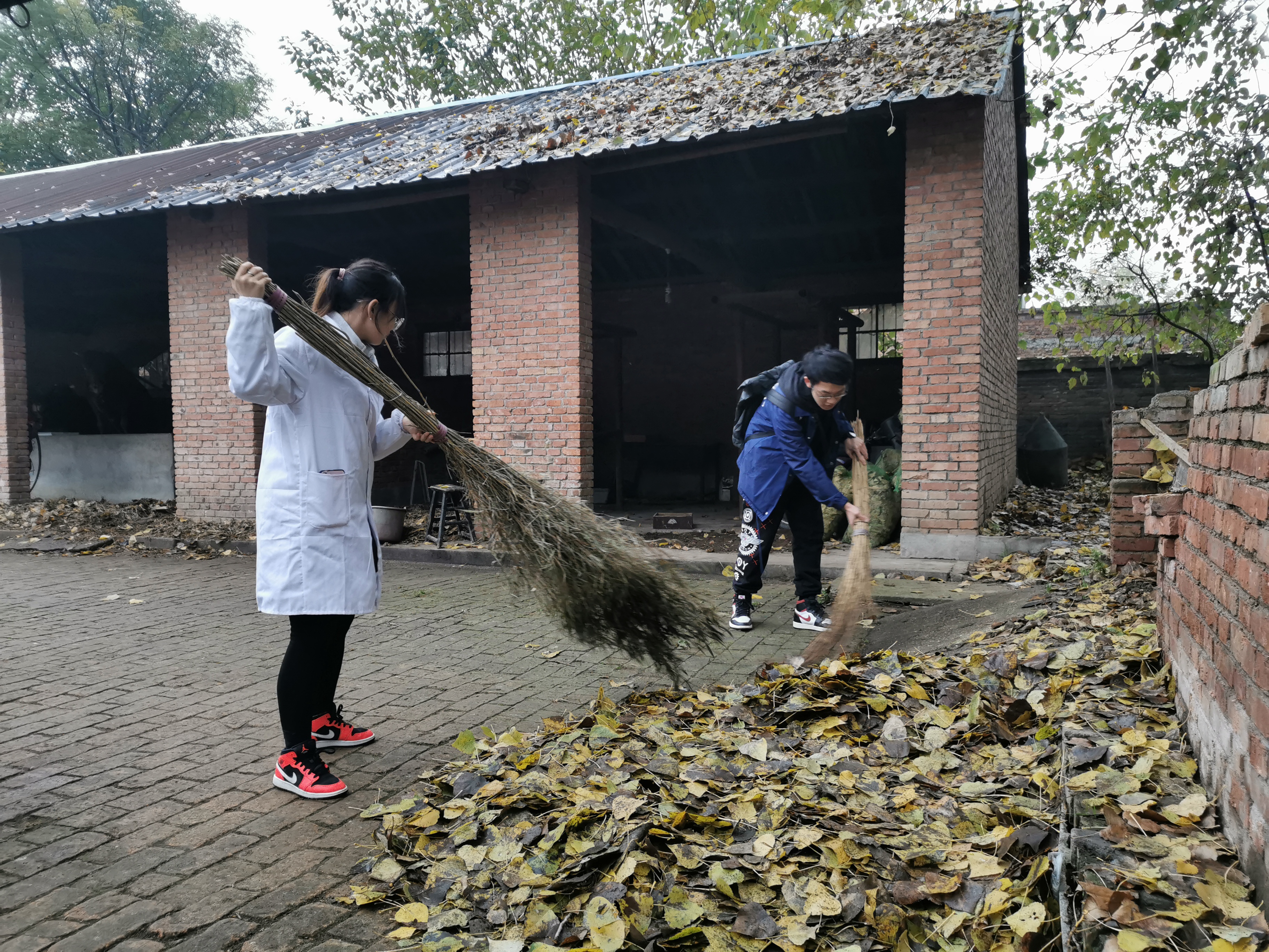 【不忘初心 牢记使命】大学生第二党支部开展志愿服务活动