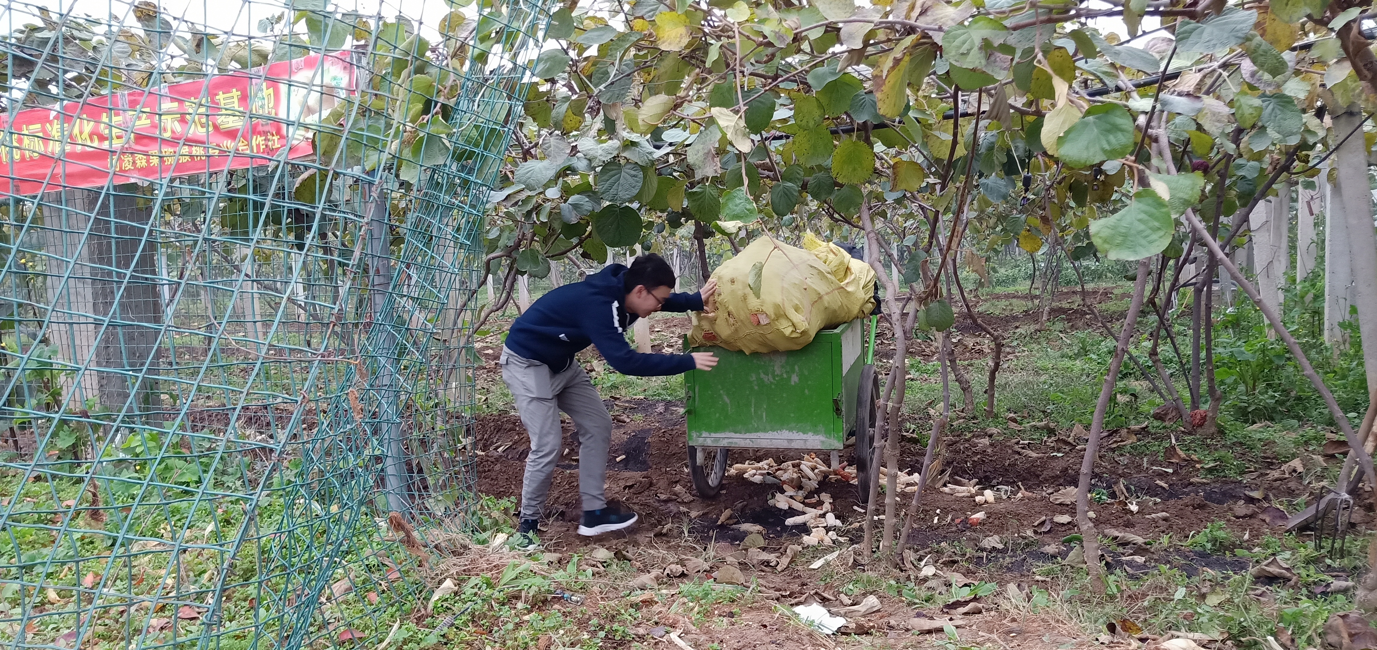 d14584537df14ac7a1f8f3428f1f7e58.jpg