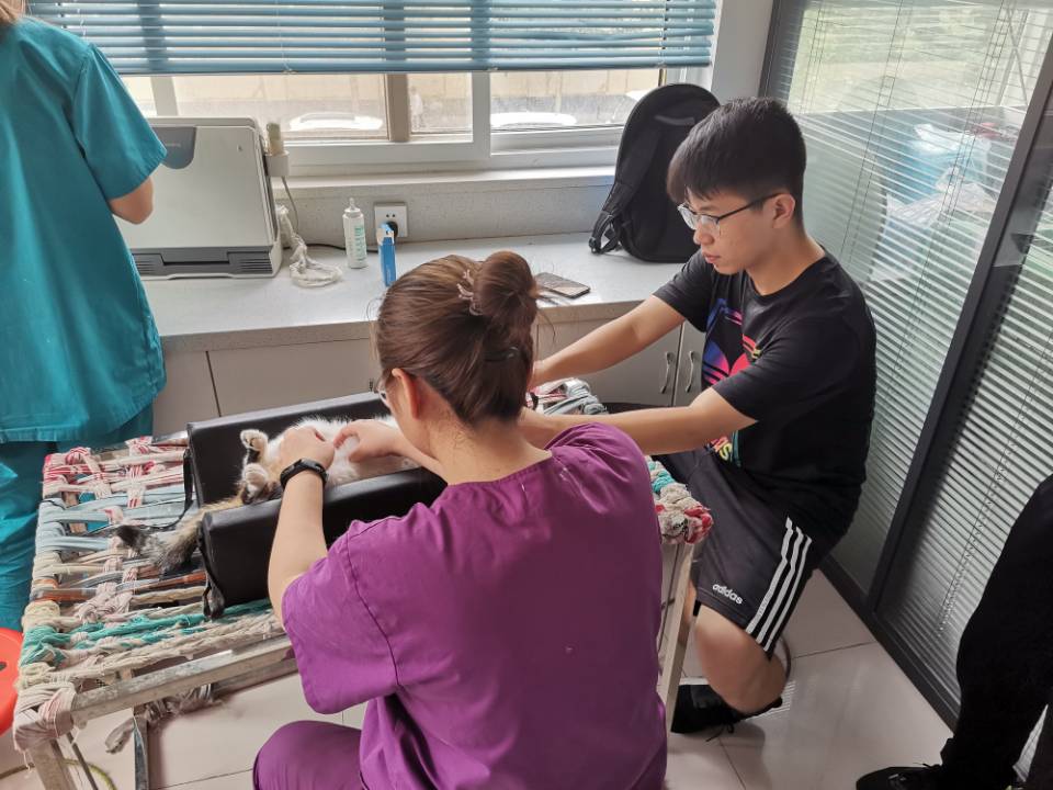 82be55a616744b43b6fc5343d939300d.jpg 82be55a616744b43b6fc5343d939300d.jpg