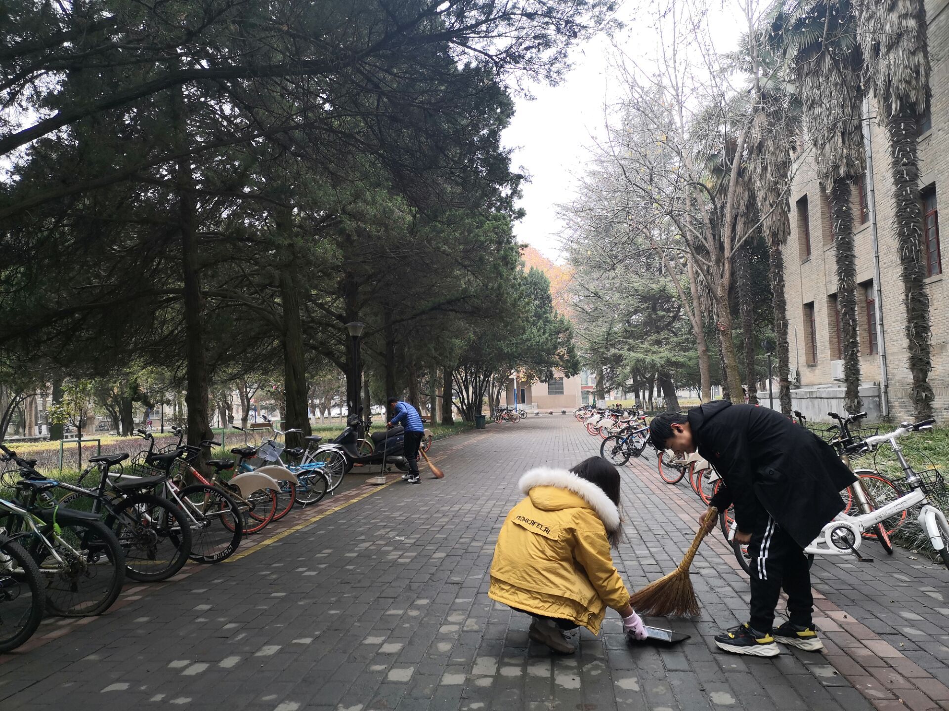 3732f159cd9c402b89272f324e6cf5dc.jpg 3732f159cd9c402b89272f324e6cf5dc.jpg