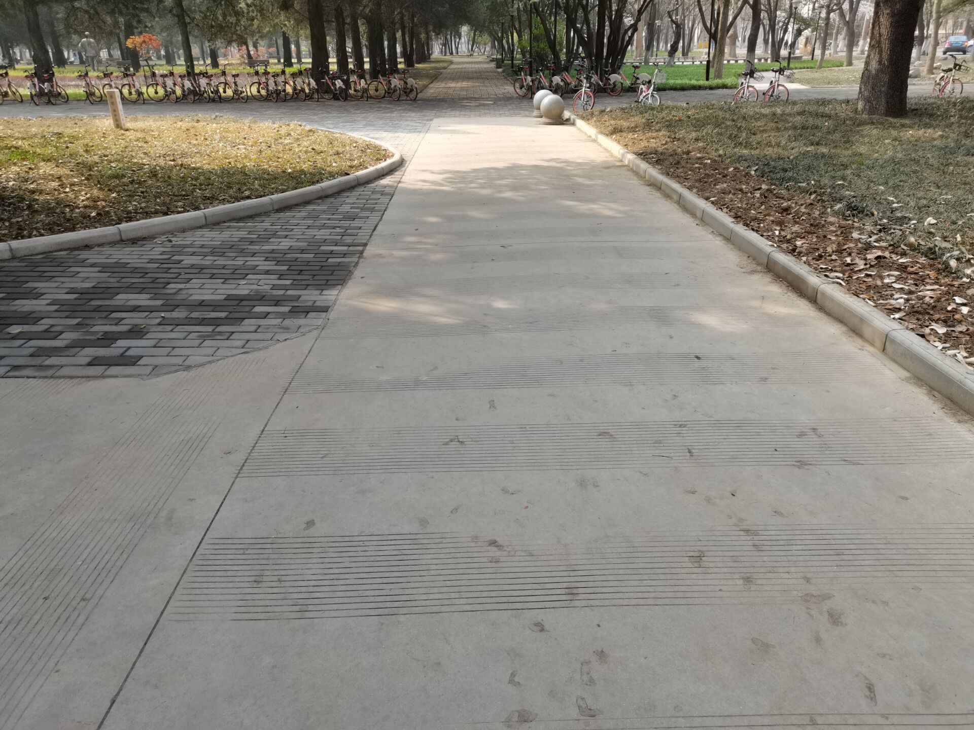 9f1181e953b840f2ab2d06c57573d357.jpg 9f1181e953b840f2ab2d06c57573d357.jpg