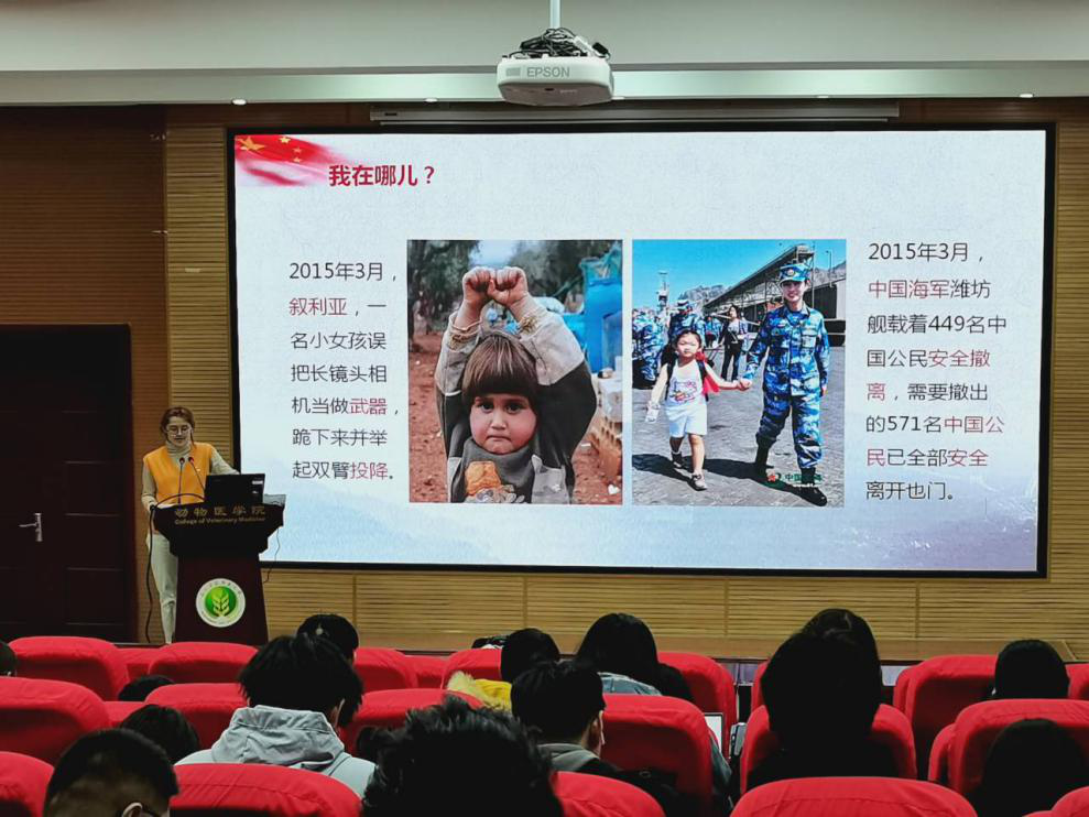 de22a2036e414ffa98978d79817c7162.png de22a2036e414ffa98978d79817c7162.png