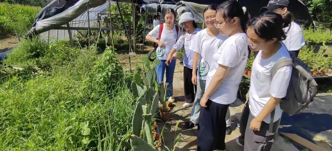 实践队员向农户了解温室花卉种植情况.png