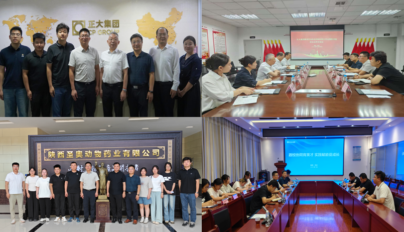 新闻稿图片.png