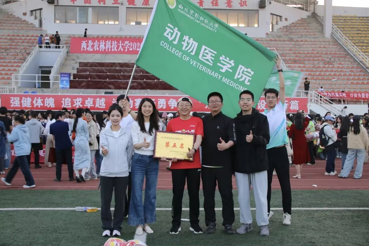 第二段后插图.jpg