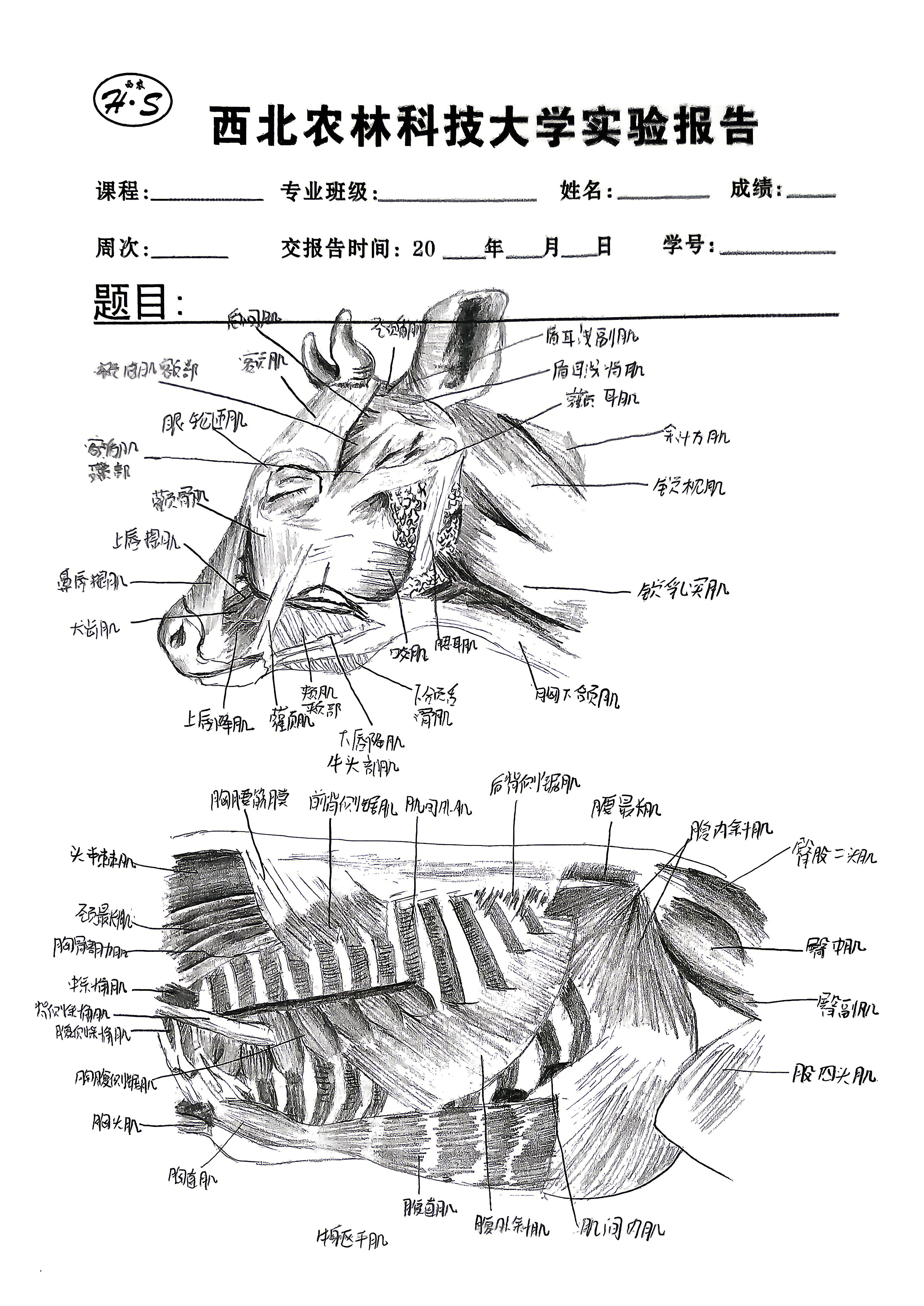 励学笃行 精研实验2.jpg