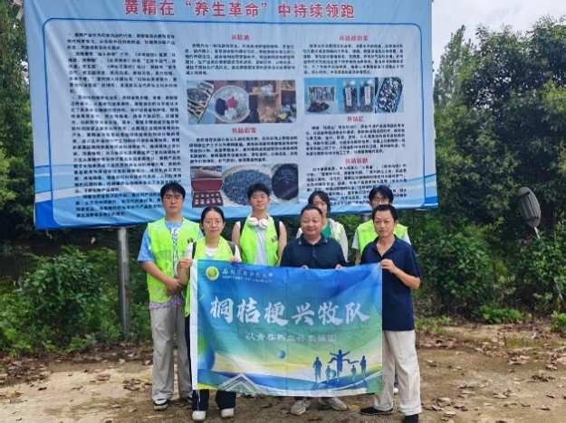 团队考察仿野生中药材种植基地.jpg