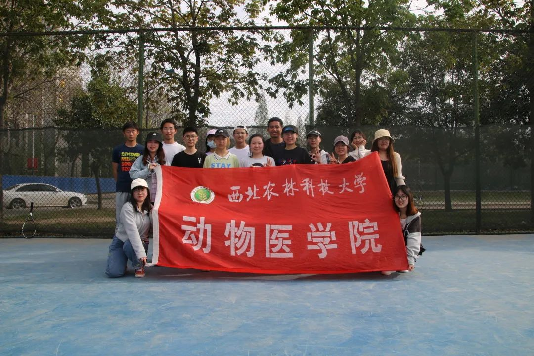 5a0b070cc77145c2b9f606a726888dad.png 5a0b070cc77145c2b9f606a726888dad.png