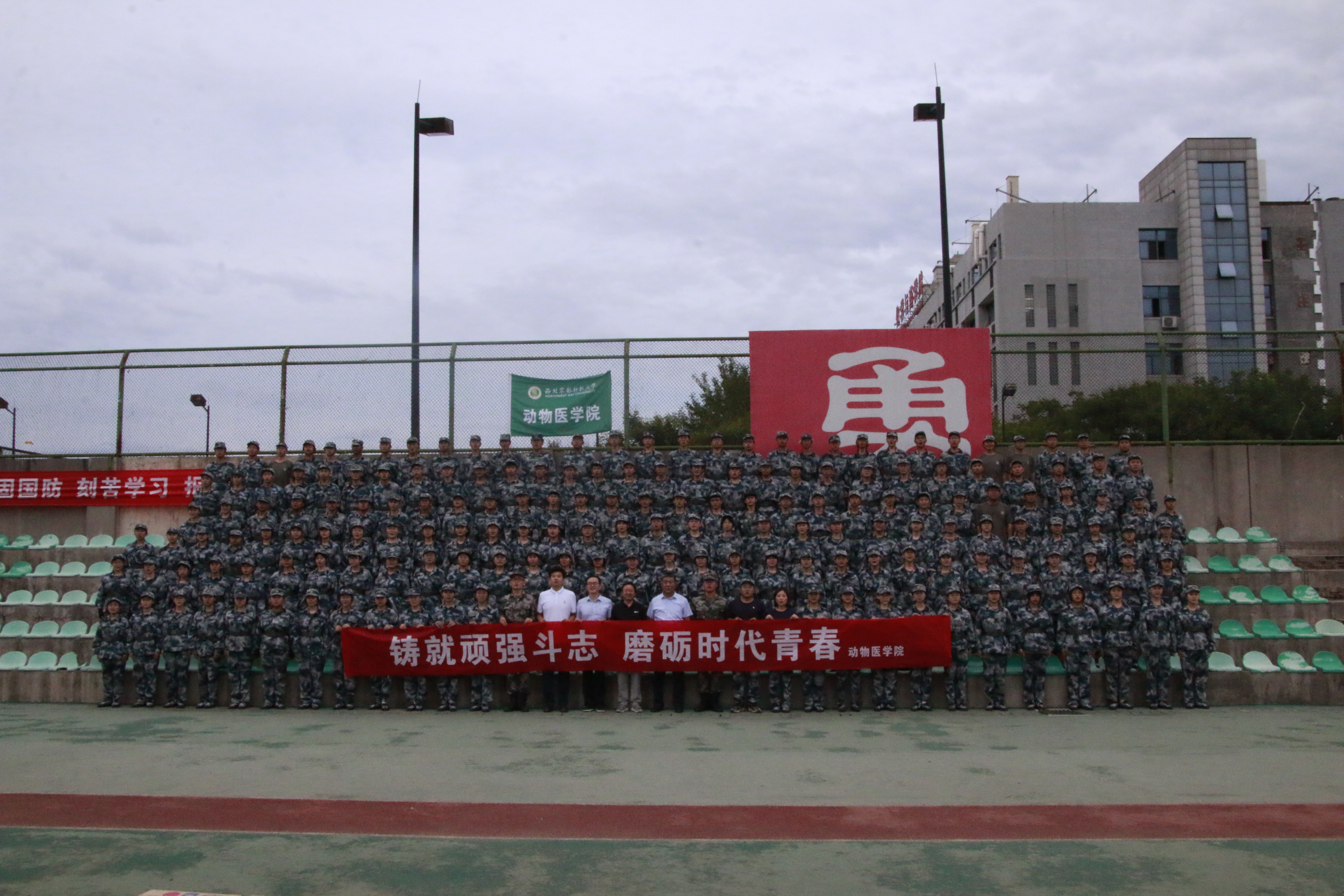 f0a2b3d5b43f433ea520f4d4a5172371.jpg f0a2b3d5b43f433ea520f4d4a5172371.jpg