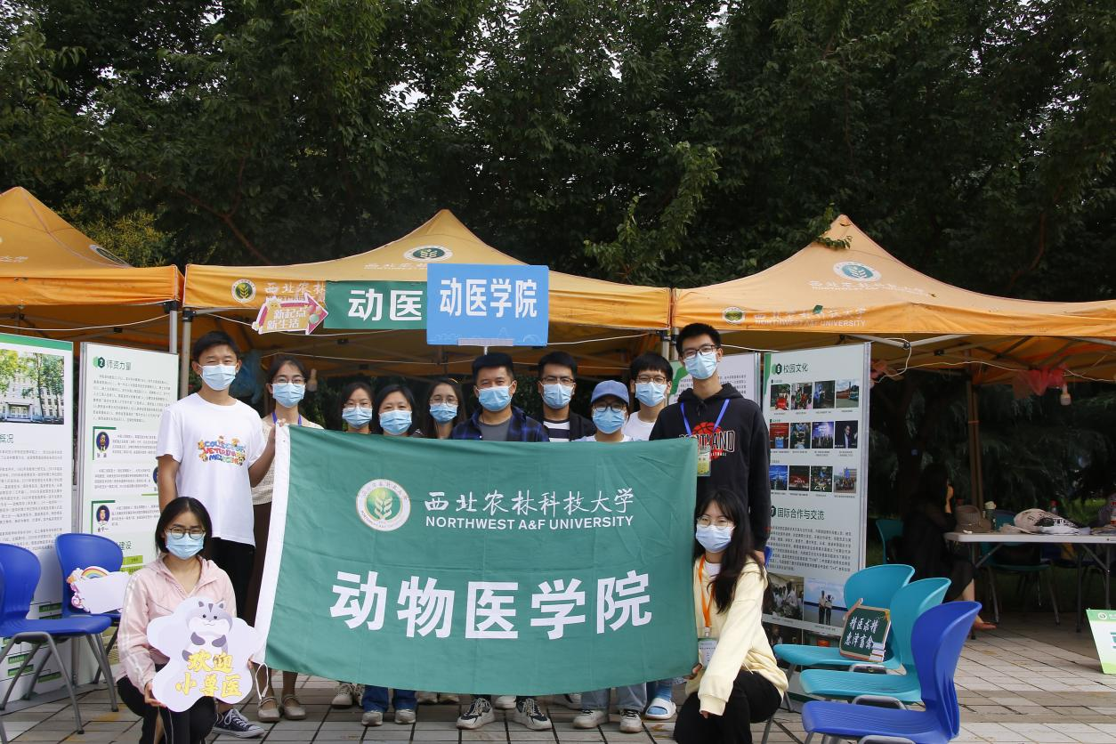 7d86f34f876f468ca79122583d45a002.png 7d86f34f876f468ca79122583d45a002.png