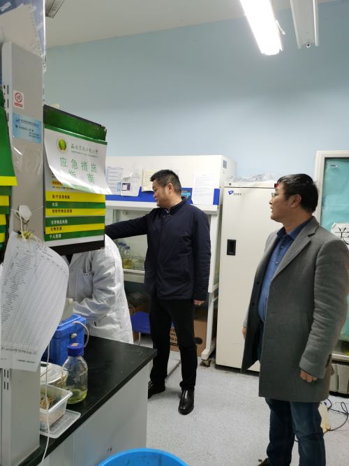 bf897d76a6904653bb3c44b822445a3a.jpg 科研实验.jpg