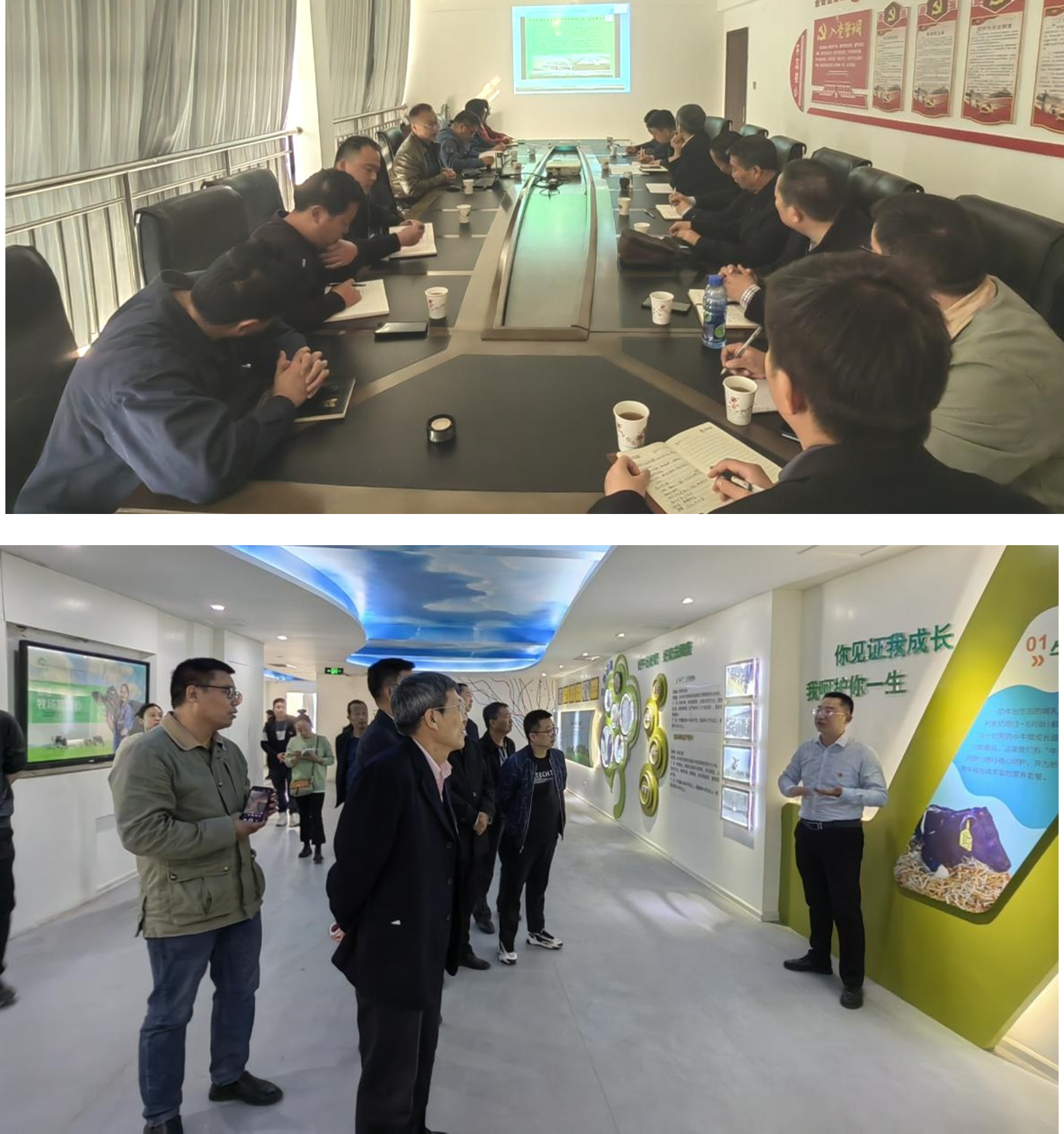 3d78fb51ea1b4a489f4d70115ef261b4.png 3d78fb51ea1b4a489f4d70115ef261b4.png