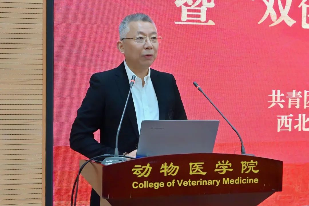 68d33ef7029943a28118e63661548353.jpg 68d33ef7029943a28118e63661548353.jpg