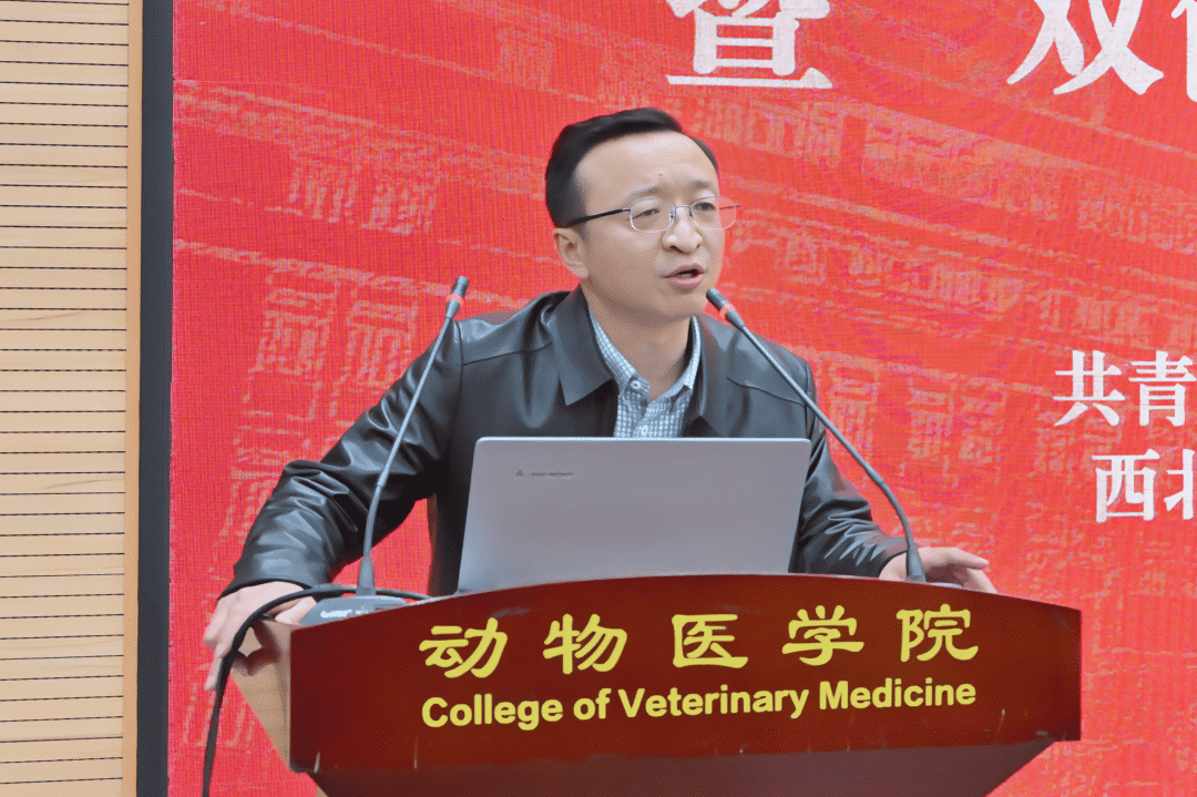 7ffa0a415fb84e3fbef8d2ecb41a1d83.png 7ffa0a415fb84e3fbef8d2ecb41a1d83.png