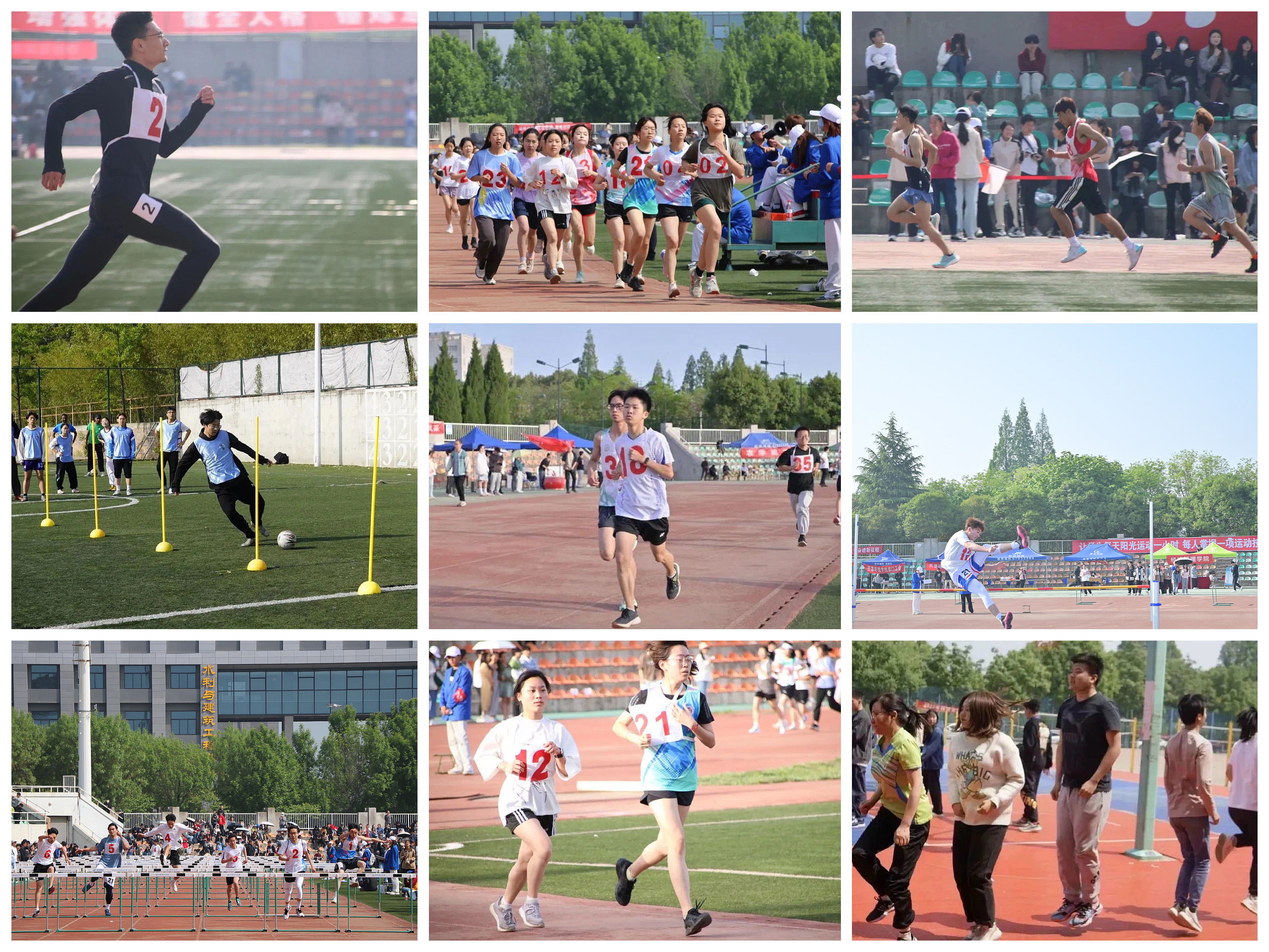 0a528bbe09dd42e791b44d9cb67aa1e8.jpg 0a528bbe09dd42e791b44d9cb67aa1e8.jpg