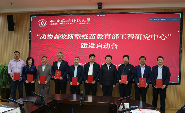 278d3d38ae8640c78bf3b736e501cfb9.jpg 278d3d38ae8640c78bf3b736e501cfb9.jpg