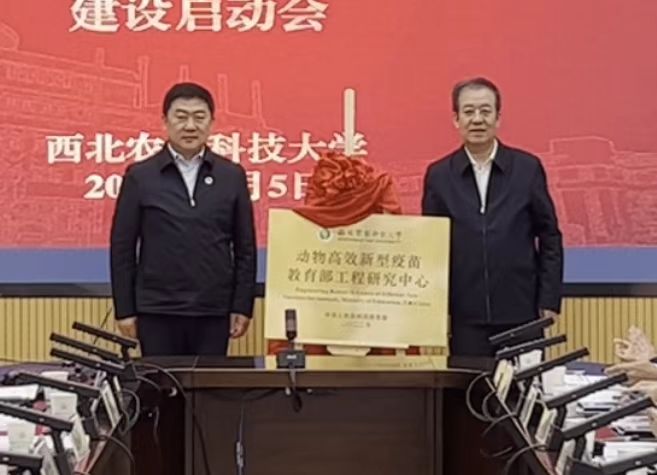 8ba48a26a3254a5c8b2dc4334bb36848.png 8ba48a26a3254a5c8b2dc4334bb36848.png