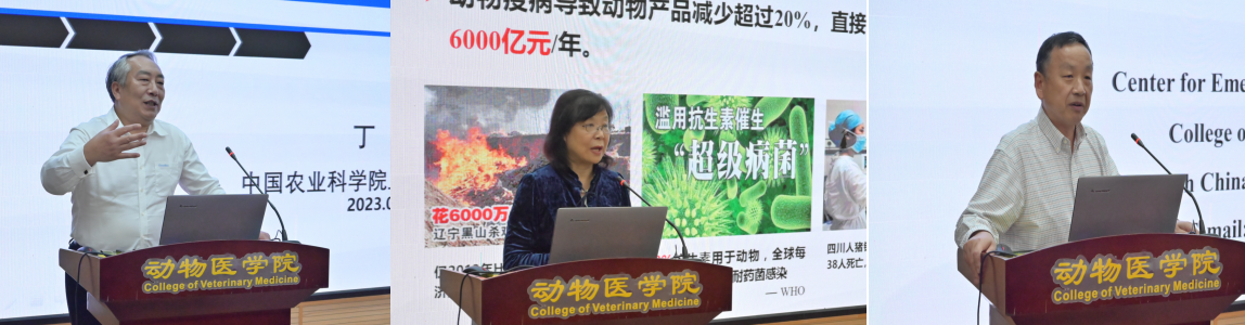 d5727a68296d4742b8fa8d9908a6255d.png d5727a68296d4742b8fa8d9908a6255d.png