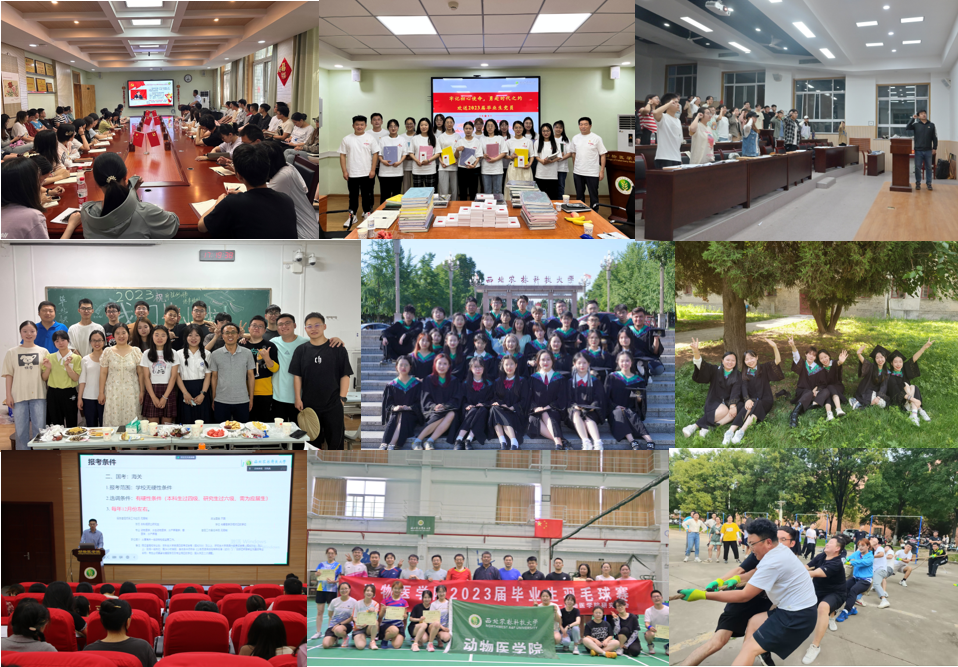 2c740eacf5cf48e9ba807567c8ed8046.png 2c740eacf5cf48e9ba807567c8ed8046.png