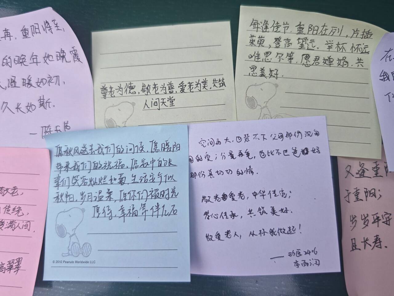 学生标语.jpg