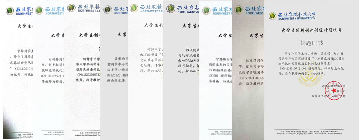图片6.png