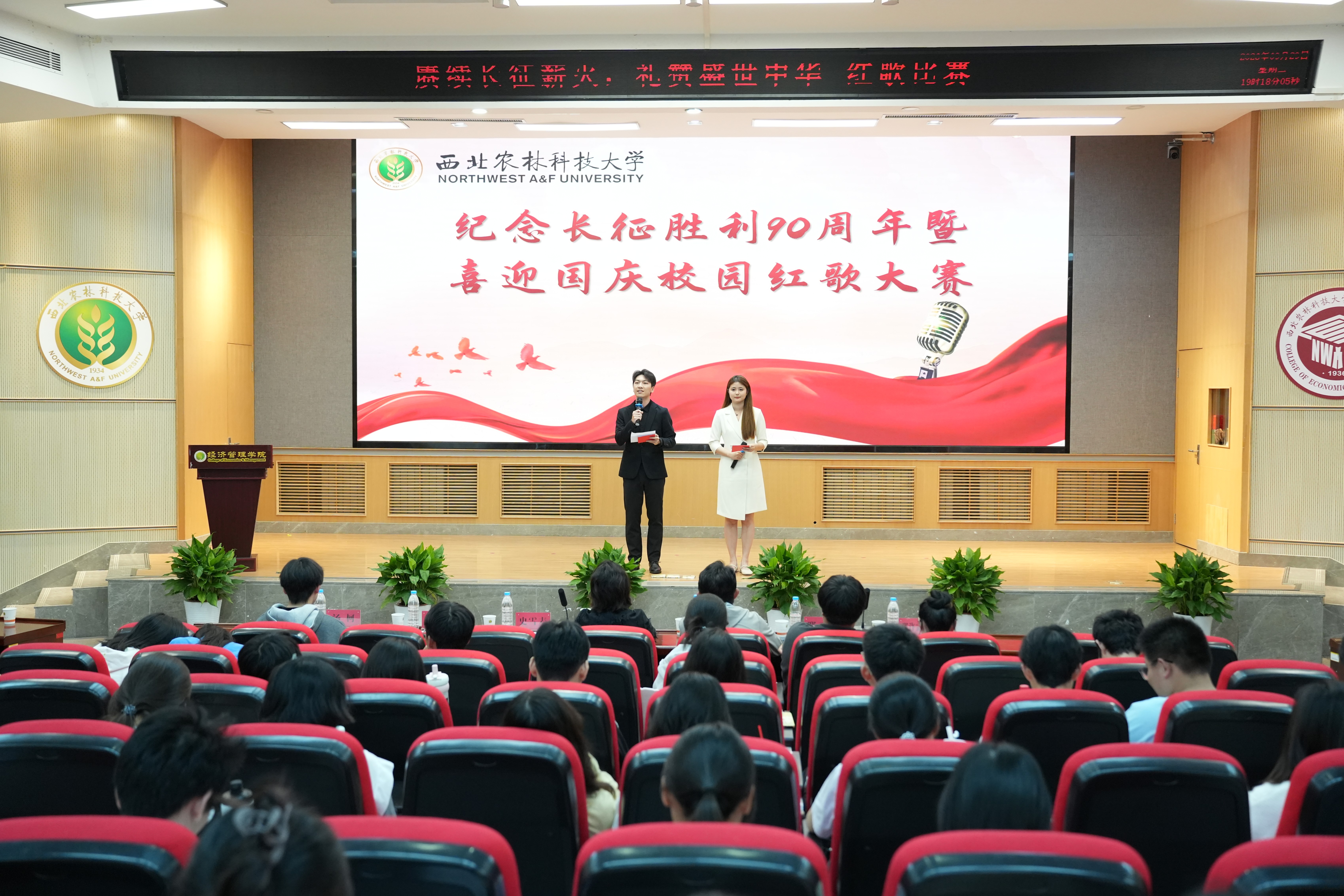 主持人主持活动.jpg
